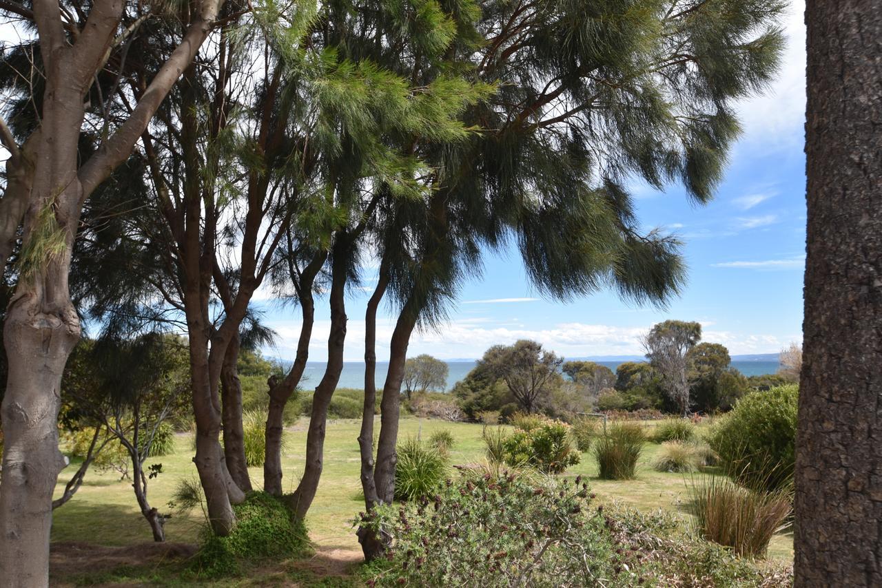 콜스베이 Freycinet Sanctuary @ Oyster Bay 빌라 외부 사진